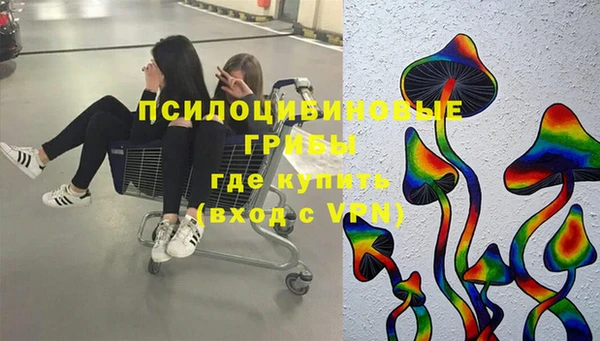 прущие грибы Алексин