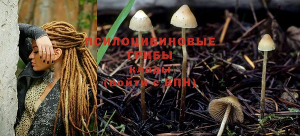 прущие грибы Алексин