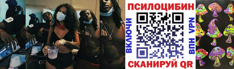 Галлюциногенные грибы Psilocybine cubensis Краснотурьинск